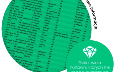 Jak wybrać hurtownię dropshipping do sklepu internetowego? Na co zwrócić uwagę przed współpracą